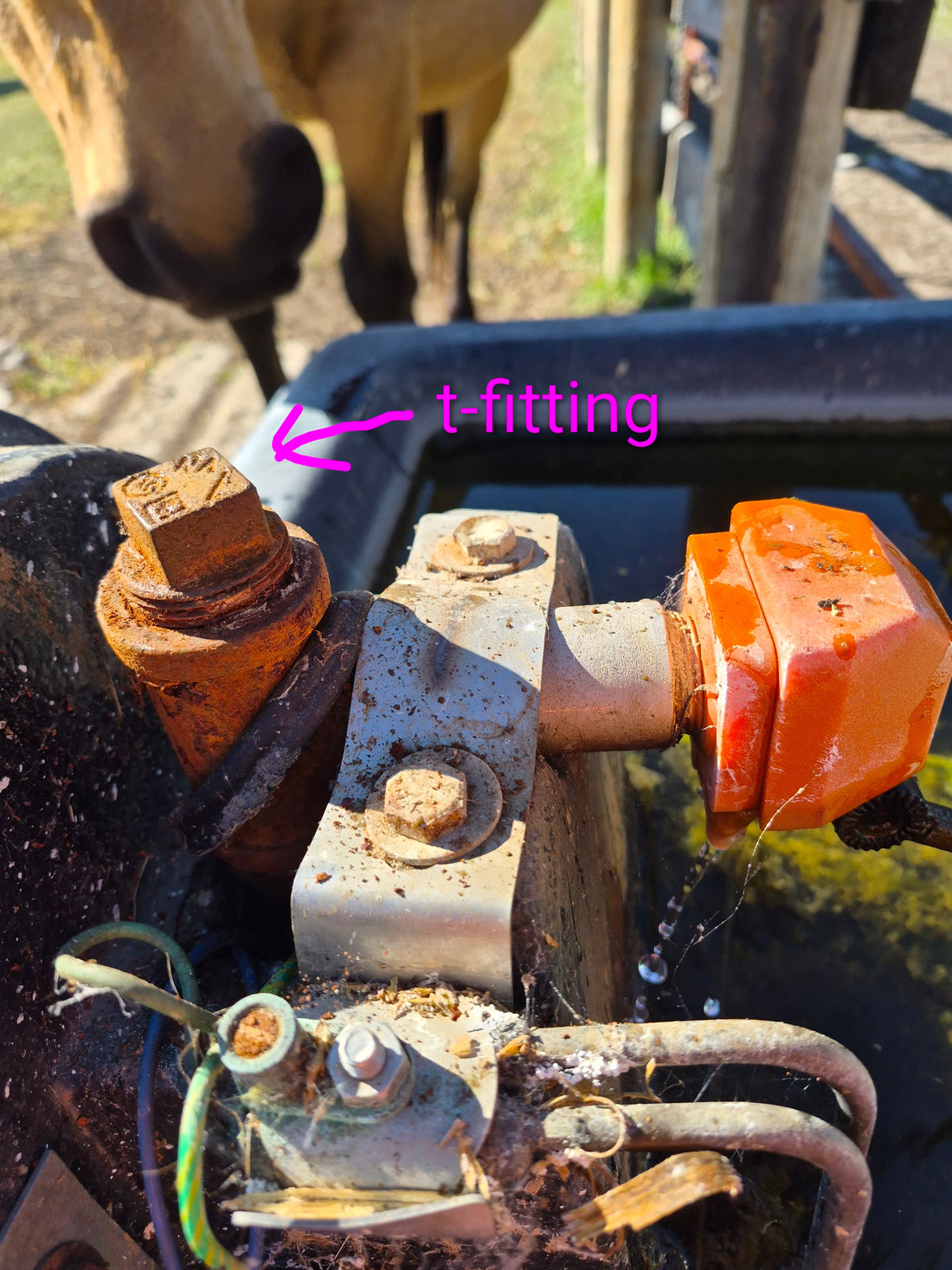 Prepping Your Livestock Waterers for Winter on the Farm