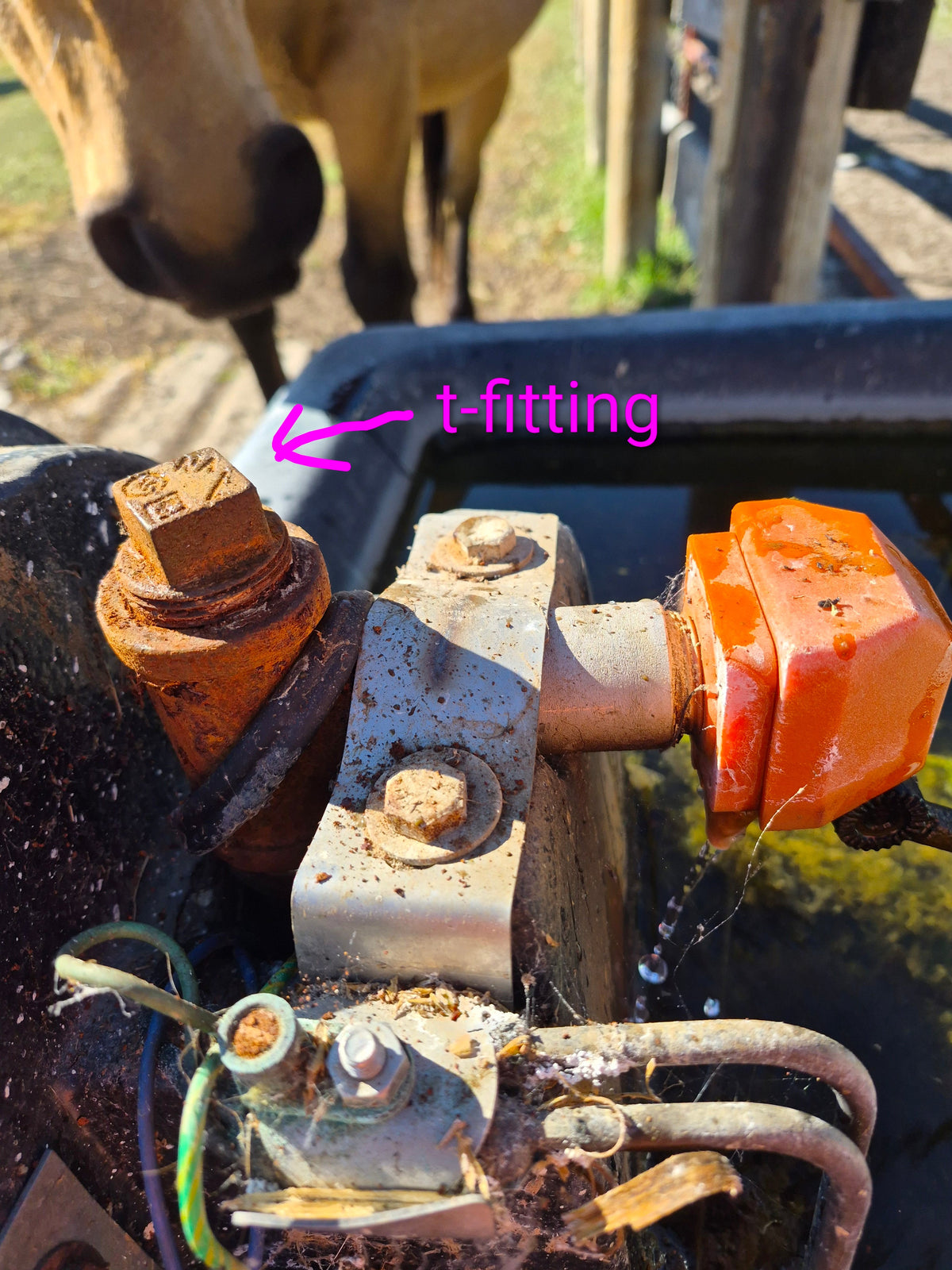 Prepping Your Livestock Waterers for Winter on the Farm